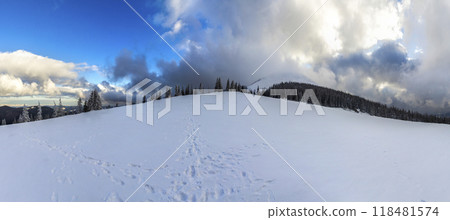 Winter mountain landscape with snow covered pine trees and low clouds 118481574