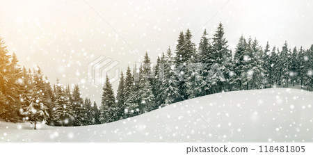 Fairy tale winter landscape. Pine trees with snow and frost on mountain slope lit by bright sun rays on blue sky and falling snowflakes copy space background. Happy New Year and merry Christmas card. Fairy tale winter landscape. Pine trees with snow and frost on mountain slope lit by bright sun rays on blue sky and falling snowflakes copy space background. Happy New Year and merry Christmas card. 118481805