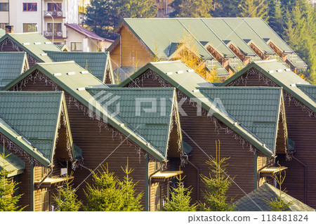 Green tops of the roof of new residential wooden houses. 118481824