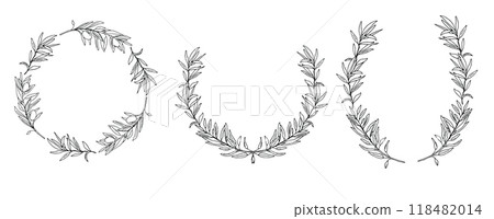 Set of Olive Wreaths. Hand drawn ink Vector isolated Botanical illustration. Can be used for cards, emblem, logos and food design. Set of Olive Wreaths. Hand drawn ink Vector isolated Botanical illustration. Can be used for cards, emblem, logos and food design. 118482014