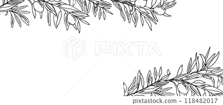 Horizontal Frame, Border with Olive Tree Branches and fruits. Hand drawn Sketch. Vector Botanical illustration. Perfect as a web banner, card and invitation template Horizontal Frame, Border with Olive Tree Branches and fruits. Hand drawn Sketch. Vector Botanical illustration. Perfect as a web banner, card and invitation template 118482017