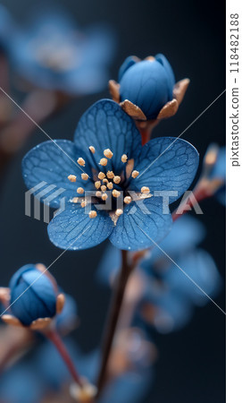 Closeup of a vibrant blue flower with a striking yellow center 118482188