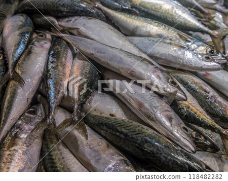 Mackerels offered at the fresh sea food market, Murci, Spain 118482282