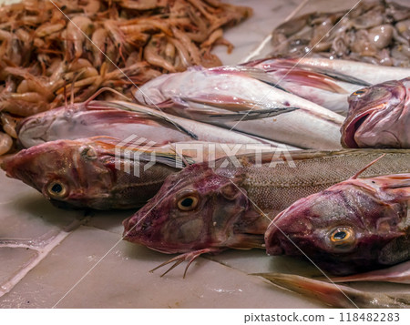 Fresh food market with variety of fresh fish, Murci, Spain 118482283