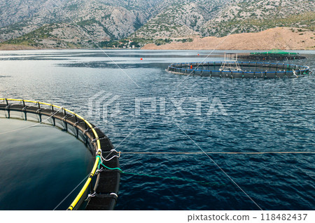 Fish farm cages in tranquil waters surrounded by mountains at sunrise. Fish farm cages in tranquil waters surrounded by mountains at sunrise. 118482437