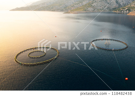 Fish farm with circular nets in a tranquil water body surrounded by hills during sunset.  118482438