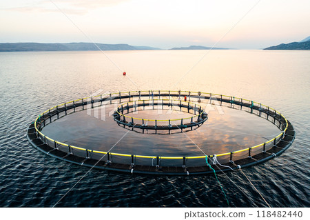 Fish farming techniques in Croatian sea waters near shore. Cutting-edge technology to enhance fish breeding and growth rates in fish farming industry Fish farming techniques in Croatian sea waters near shore. Cutting-edge technology to enhance fish breeding and growth rates in fish farming industry 118482440