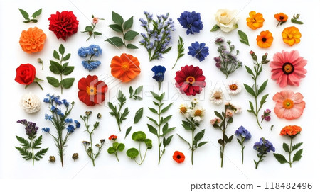 Bright orange flowers frame a light background, showcasing the beauty of nature Bright orange flowers frame a light background, showcasing the beauty of nature 118482496