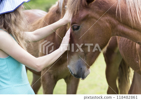 Young pretty blond long-haired woman in sun hat caressing beautiful chestnut horse on blurred green sunny summer background. Love to animal, care, friendship, faithfulness and farming concept. 118482861