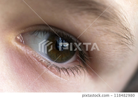 Close up macro of child boy eye 118482980