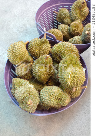 top view durians are placed in the violet, basket. Placed on the cement floor background, food, fruit, green, bark has sharp thorns 118483188
