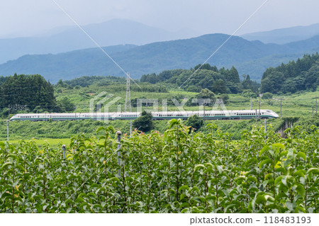[Yamagata Line] Shinkansen Tsubasa passing through a pear orchard 118483193
