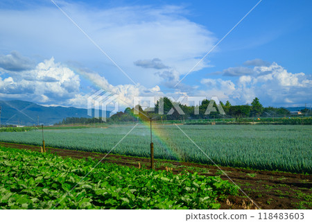 [Summer field] A rainbow made by watering [Yamagata Village, Higashichikuma District] 118483603