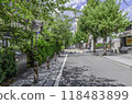 京都的宮町通 118483899
