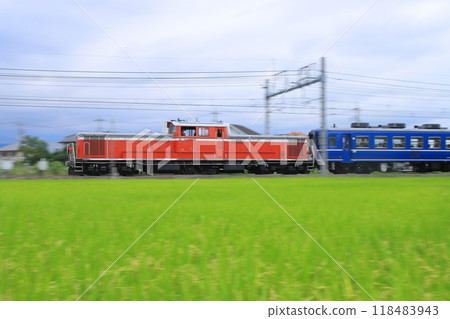 DL Gunma fin No. 9, towed by DD51-842, racing along the Joetsu Line in good harvest_Photo taken on 9/16/2024 118483943
