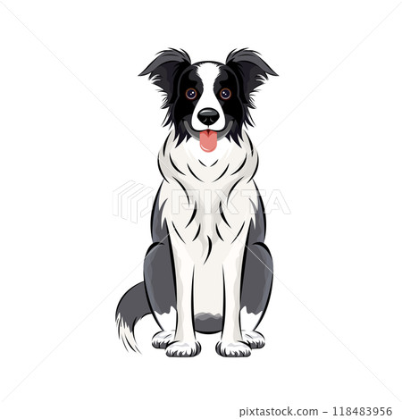 狗|聰明又忠誠！邊境牧羊犬的插圖，它具有出色的運動能力，也被用作牧羊犬。 118483956
