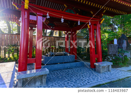 長總社和晴朗的秋景「茅草神社和寺院中唯一的國寶」葵麻生神社(國寶)(人吉市) 長總社和晴朗的秋景「茅草神社和寺院中唯一的國寶」葵麻生神社(國寶)(人吉市) 118483987