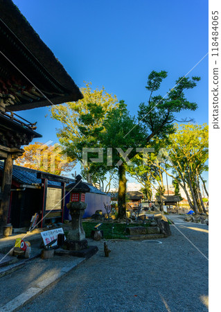The surrounding scenery seen from the tower gate at Aoi Aso Shrine, "The only thatched roof temple structure designated as a national treasure" Aoi Aso Shrine (Hitoyoshi City) 118484065