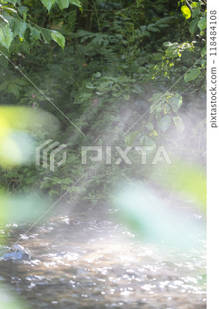 A scene of light shining on a clear stream in the forest - Oyamakiyazawa mountain stream 118484108