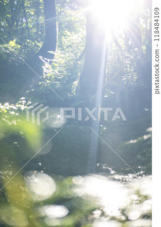 A scene of light shining on a clear stream in the forest - Oyamakiyazawa mountain stream 118484109