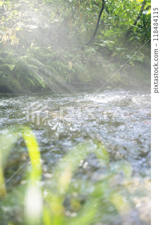 光線照射到森林清澈溪流「大仙溪八澤溪」的風景 光線照射到森林清澈溪流「大仙溪八澤溪」的風景 118484115