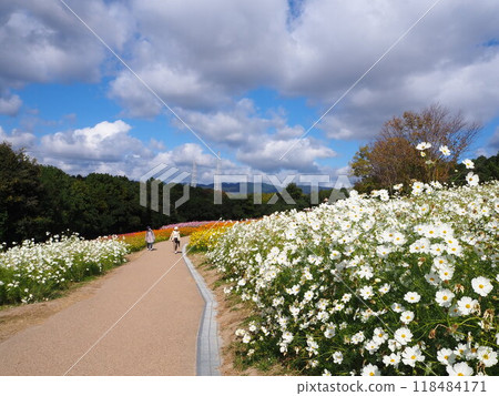 70 屆世博紀念公園內色彩繽紛的宇宙田 70 屆世博紀念公園內色彩繽紛的宇宙田 118484171