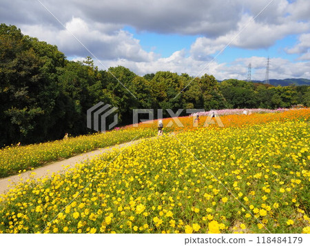 70 屆世博紀念公園內色彩繽紛的宇宙田 70 屆世博紀念公園內色彩繽紛的宇宙田 118484179