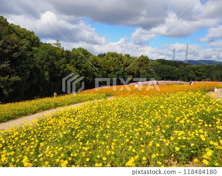 70 屆世博紀念公園內色彩繽紛的宇宙田 70 屆世博紀念公園內色彩繽紛的宇宙田 118484180