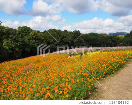 70 屆世博紀念公園內色彩繽紛的宇宙田 118484182