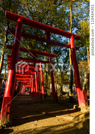 從院內看到的宮地岳神社鳥居「青井阿蘇神社是茅草屋頂的神社寺廟中唯一的國寶」(人吉市) 從院內看到的宮地岳神社鳥居「青井阿蘇神社是茅草屋頂的神社寺廟中唯一的國寶」(人吉市) 118484301