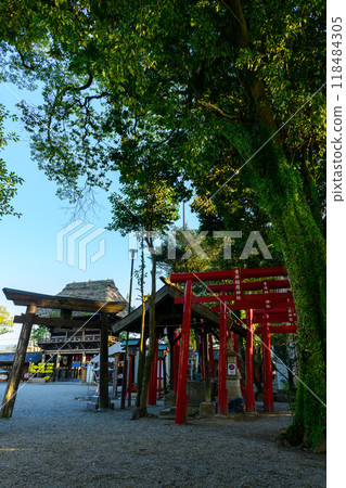 從院內看到的塔門和稻荷神社鳥居「茅草神社和寺廟中唯一的國寶青井阿蘇神社」（人吉市） 118484305