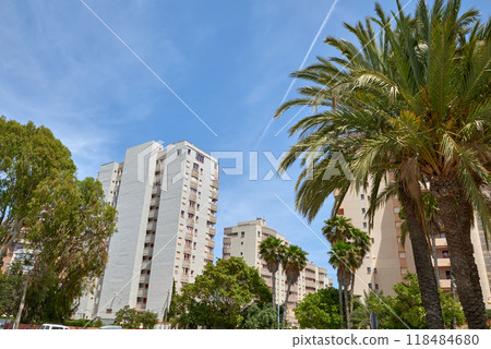 Stunning Spanish Coastal Skyline: Towering High-Rises and Swaying Palm Trees Under Brilliant Summer Sky 118484680