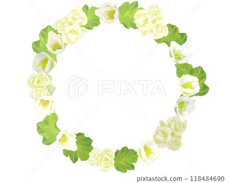 Christmas rose and begonia wreath 118484690