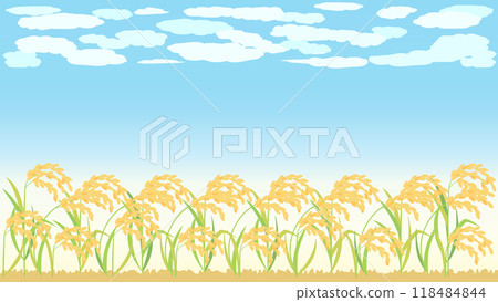 Autumn background illustration of blue sky, rice and ears of rice, aspect ratio 16:9 version 118484844