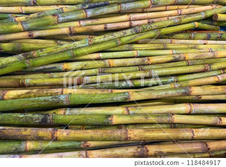 甘蔗 甘蔗 118484917