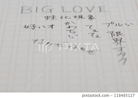 我正在寫2024年年輕人會在網路上使用的流行詞。 我正在寫2024年年輕人會在網路上使用的流行詞。 118485127