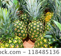 pineapple  118485136