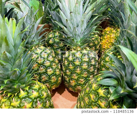 菠蘿 118485136