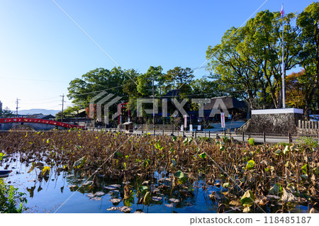 從禦曾木橋看到的風景(葵阿蘇神社) 「茅草屋頂的神社寺院中唯一的國寶」 葵阿蘇神社(人吉市) 從禦曾木橋看到的風景(葵阿蘇神社) 「茅草屋頂的神社寺院中唯一的國寶」 葵阿蘇神社(人吉市) 118485187