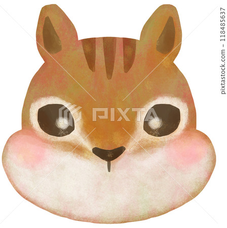 可愛的松鼠插畫臉 118485637