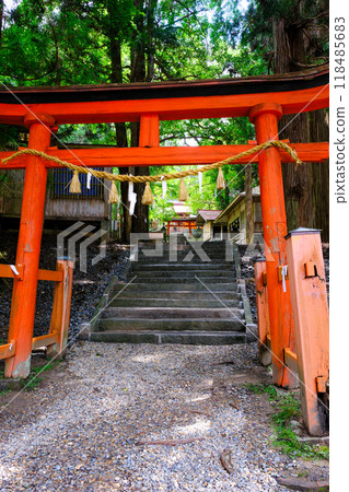 Tanuchiyama Shrine's third torii gate (vertical) Tanuchiyama Shrine's third torii gate (vertical) 118485683