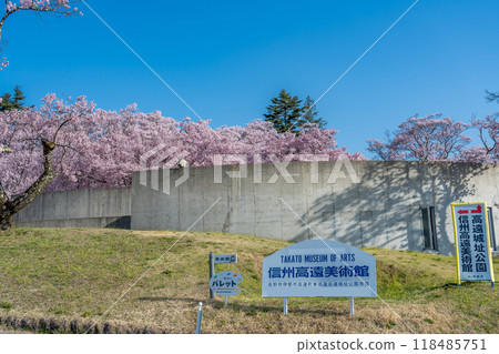 Ina City, Nagano Prefecture Near the entrance to the Shinshu Takato Museum of Art in Takato Castle Park, which is said to have the best cherry blossoms in the world 118485751