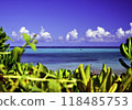 Beautiful sea 118485753
