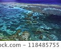 Beautiful sea 118485755