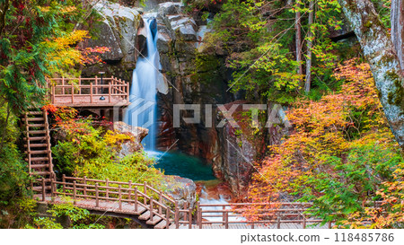 湯森溪谷(秋季) 湯森溪谷(秋季) 118485786