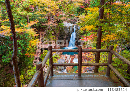 湯森溪谷(秋季) 湯森溪谷(秋季) 118485824