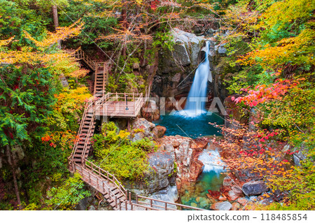 湯森溪谷(秋季) 湯森溪谷(秋季) 118485854