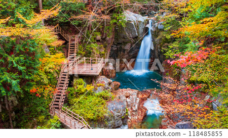 湯森溪谷（秋季） 118485855