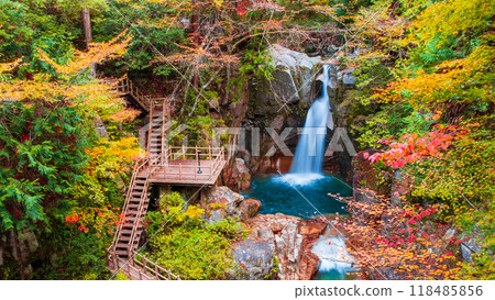 湯森溪谷（秋季） 118485856