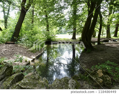 Paris: Fresh greenery in the Bois de Boulogne 118486449